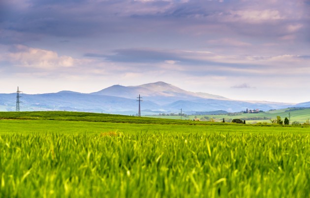 Green fields in front of Monte Amiata